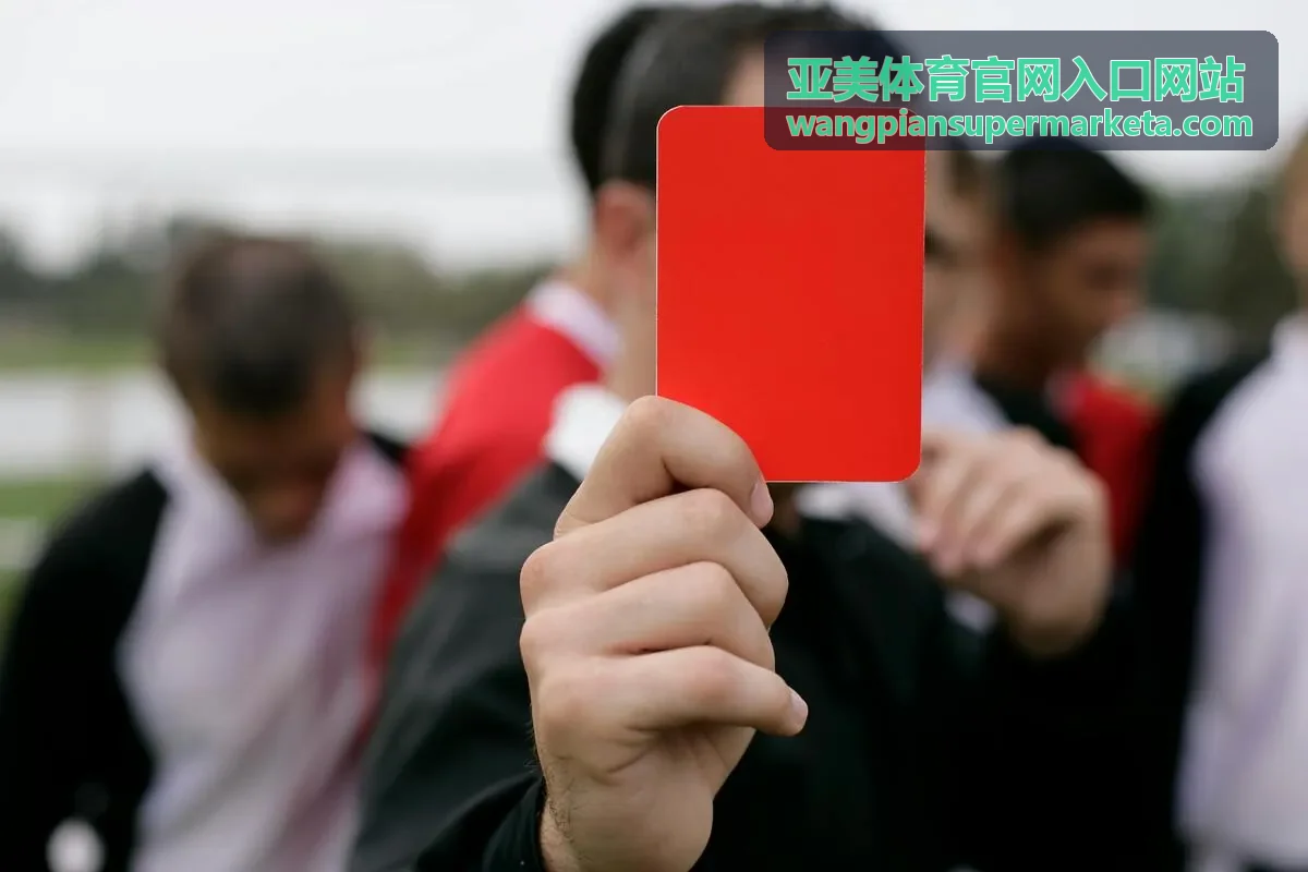 亚美体育观赛攻略封面图